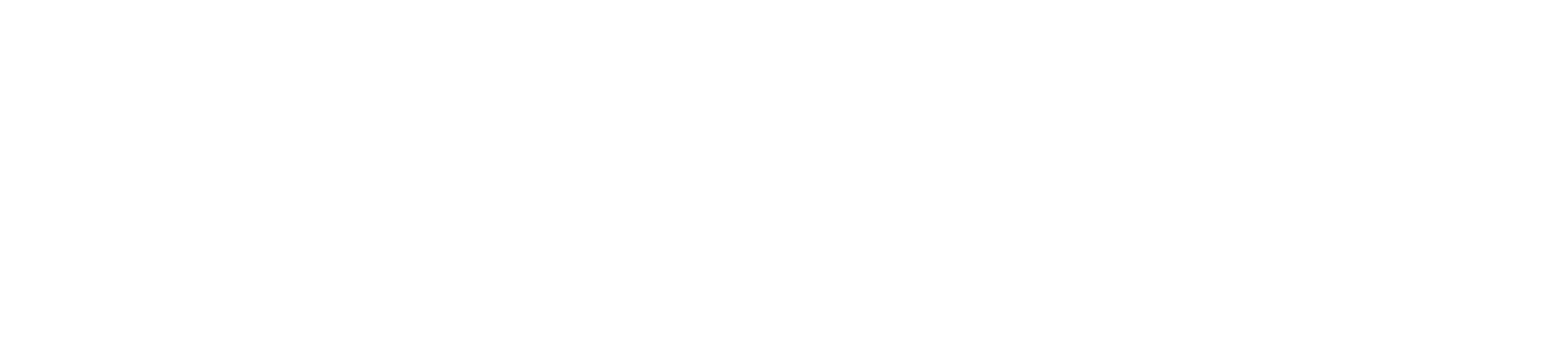 Logo Zeiq branco